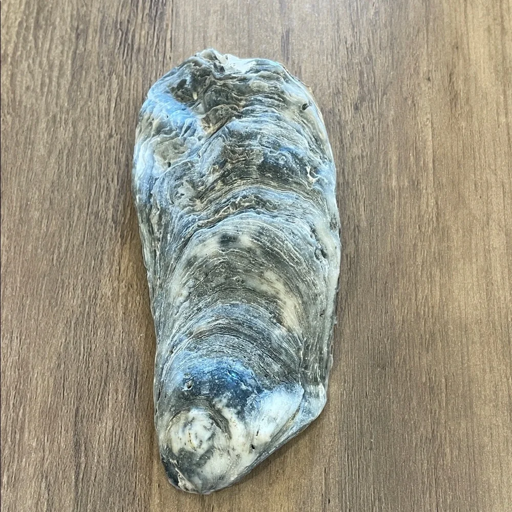 N/A natural oyster