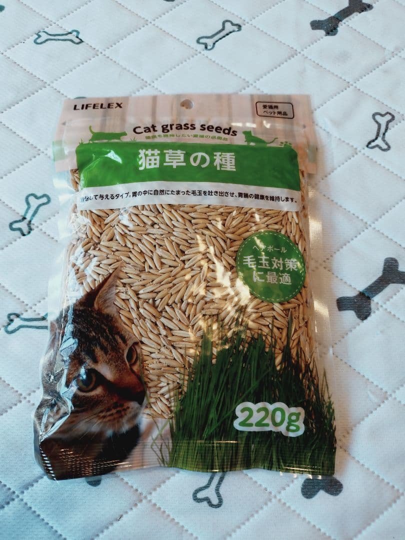 Cat Grass Seeds - Cat Grass - Cats - Dogs - Hairball Expulsion - Hairball Care - Digestive Health Maintenance - New, Unopened ③